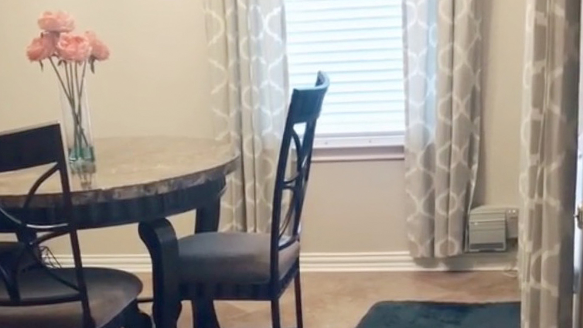 You have 20/20 vision if you can spot the cat hiding in the owner's dining room in less than 11 seconds