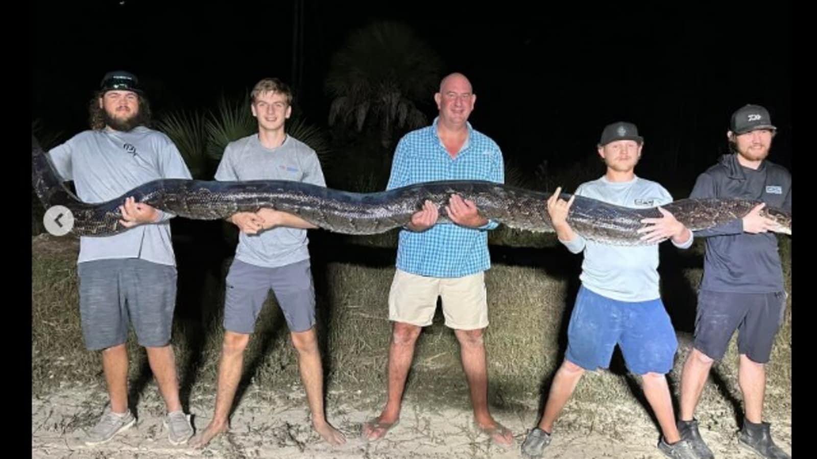 5 Florida men capture a monstrous 17-foot python. See pics