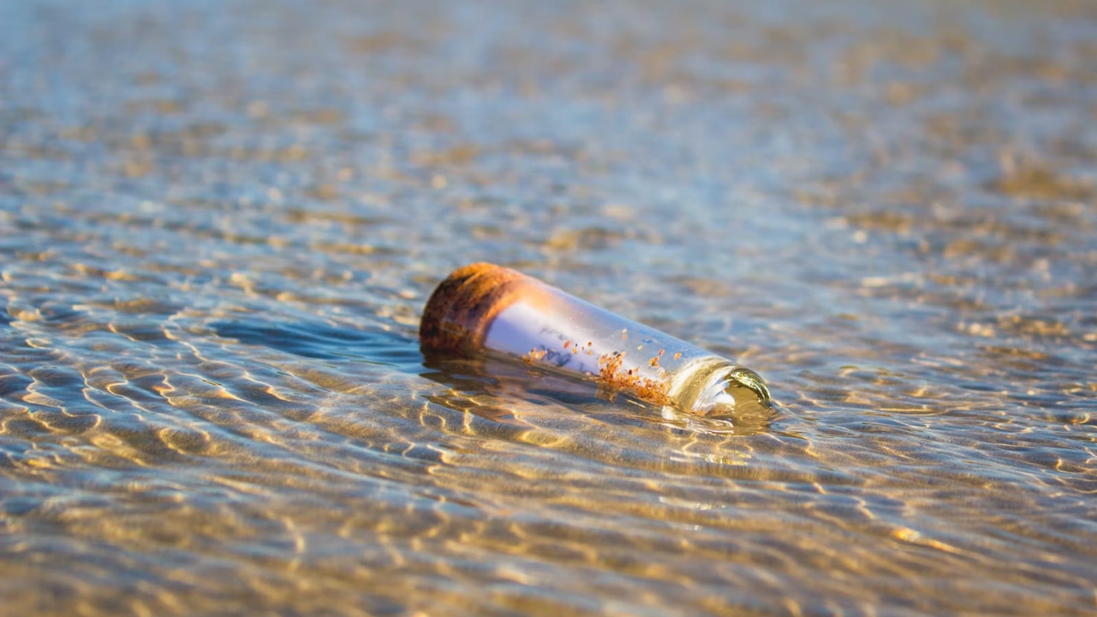 Across ocean and decades: US student’s message in a bottle written in 1997 discovered in France