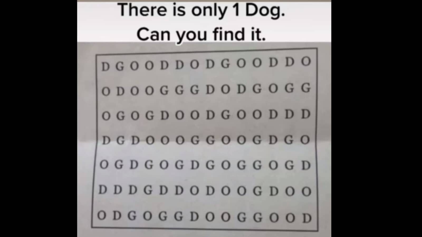 Brain Teaser: Can you find the ‘dog’ in this puzzle?