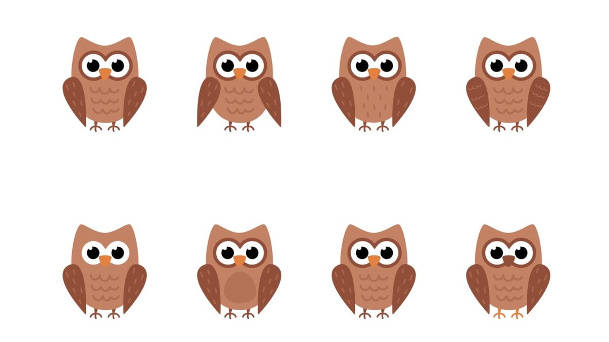 Find two identical owls.