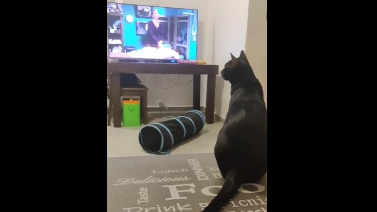 Cat scares kitty watching Friends, startles herself in the process too