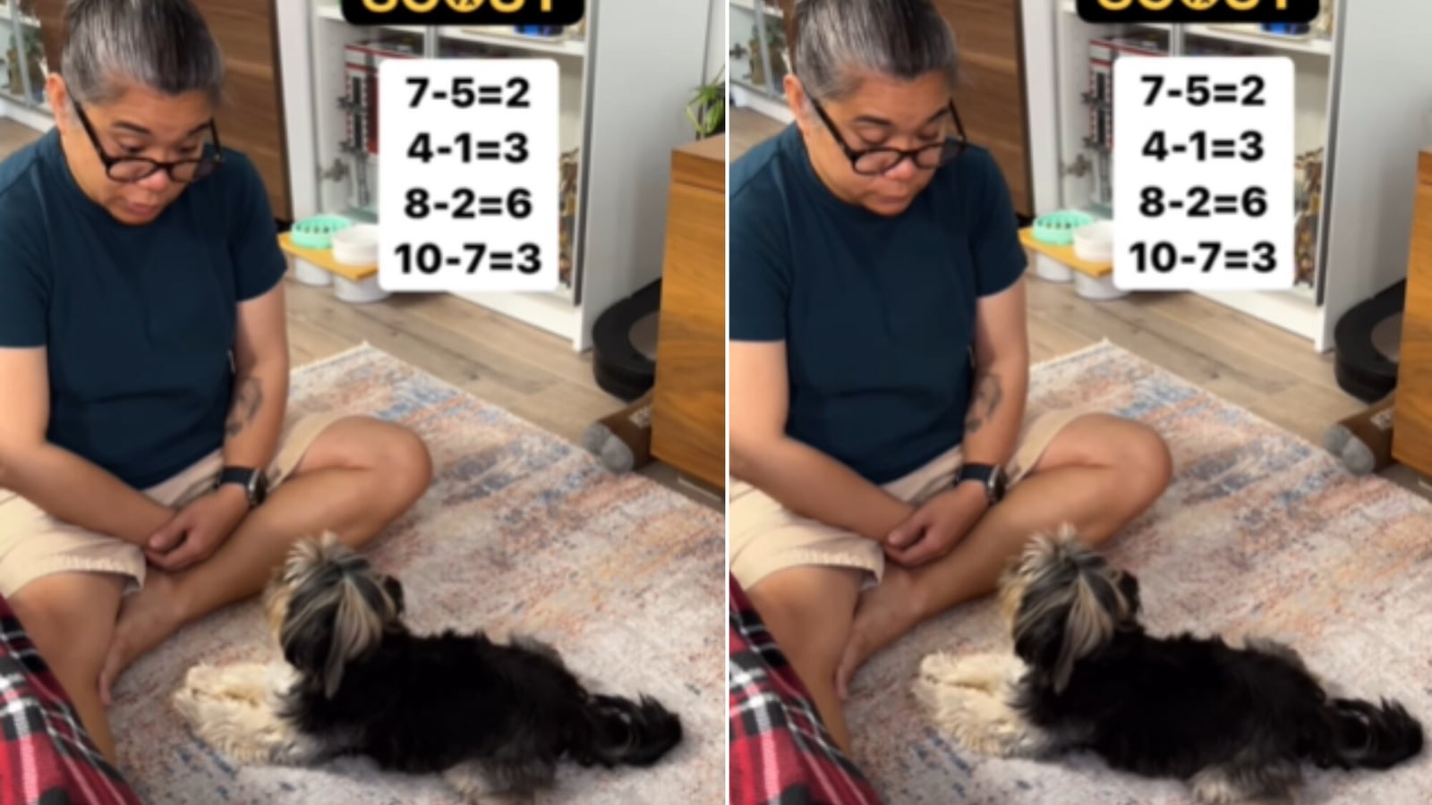 Dog answers maths questions like a pro, viral video stuns people