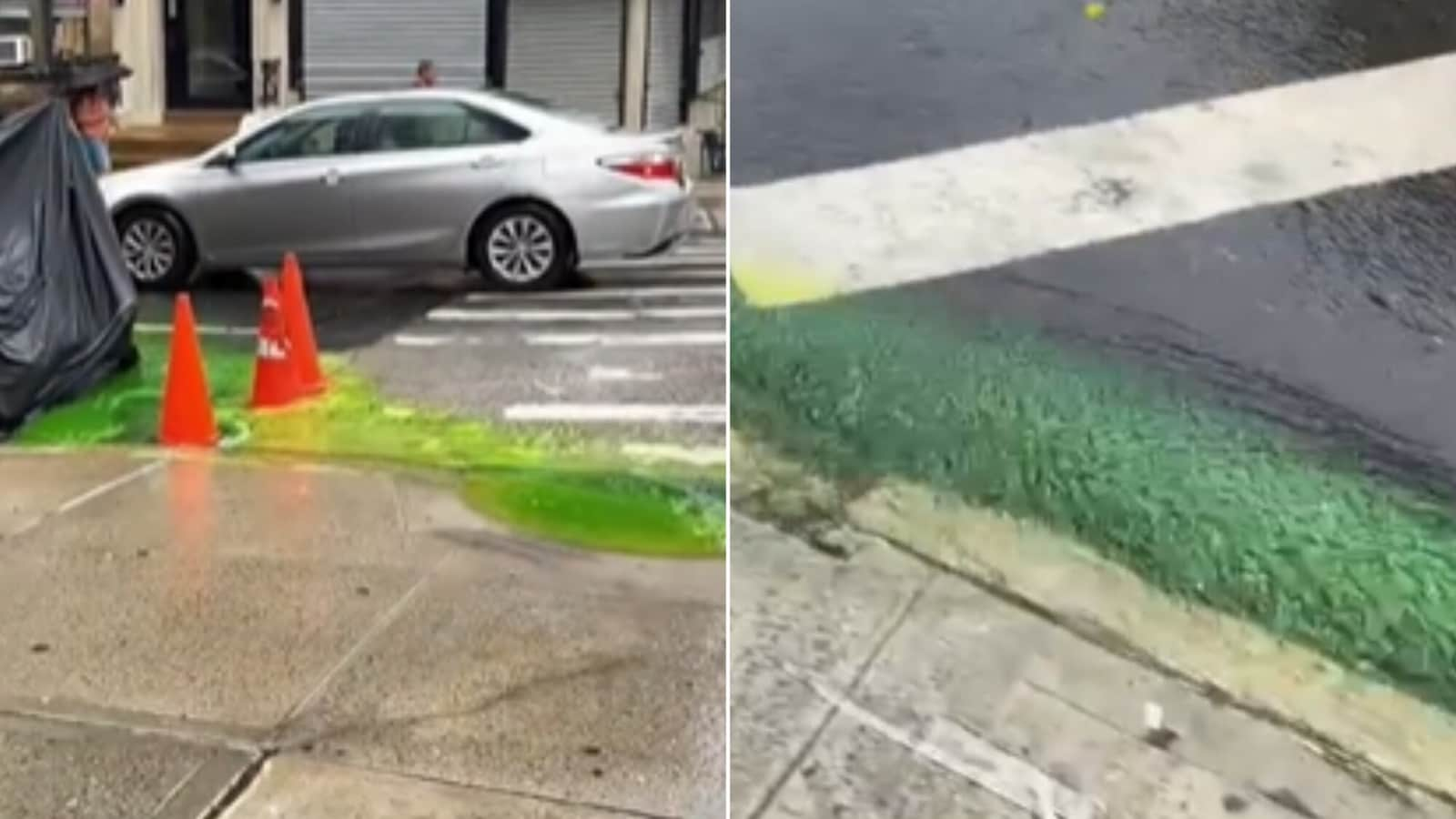 Green slime oozing onto New York streets from sewers turns out to be…