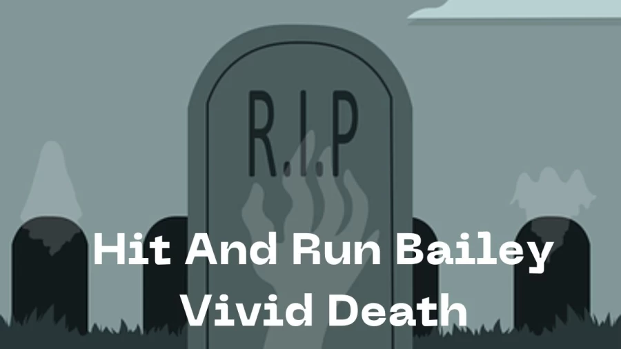 Hit And Run Bailey Vivid Death, How Did Bailey Vivid Die?