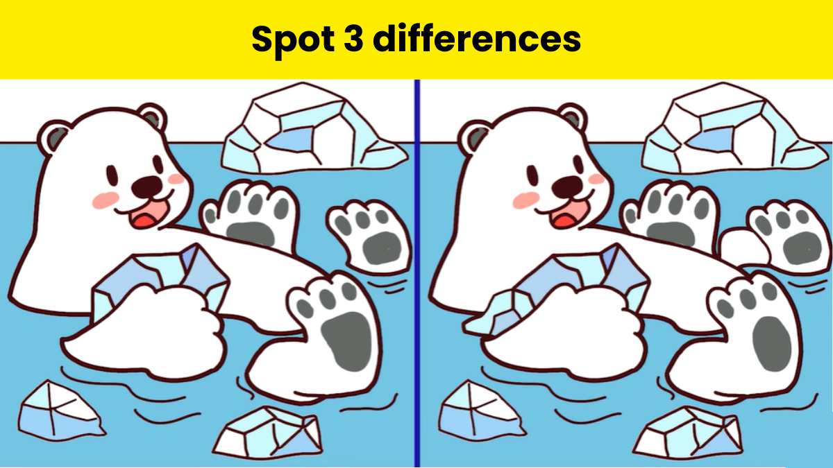 Can you spot three differences in the picture?