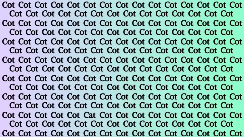 IQ test: Only true cat lovers can find the right answer.  Try your luck.