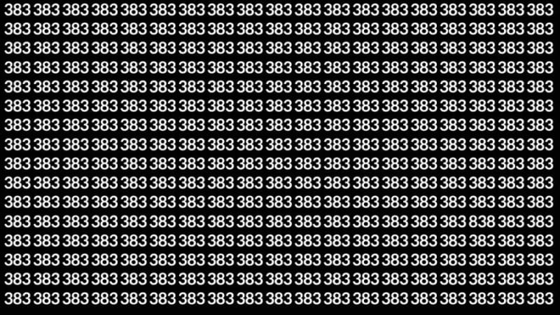 Natural IQ Test: Try to find 2 hidden numbers 838