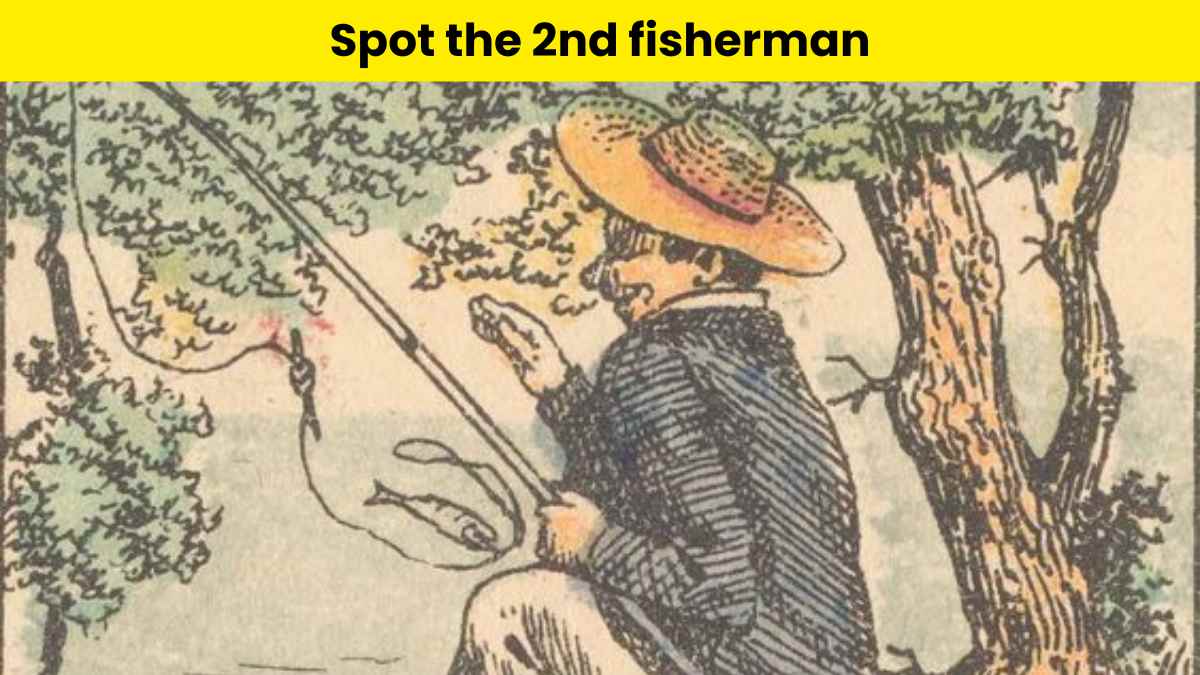 Optical Illusion: Can you spot the 2nd angler?