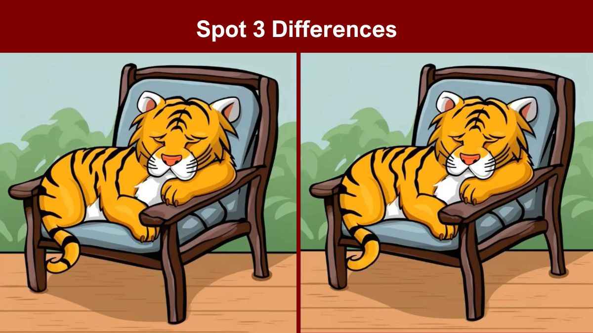 Find 3 differences between the tiger cub sleeping on chair pictures