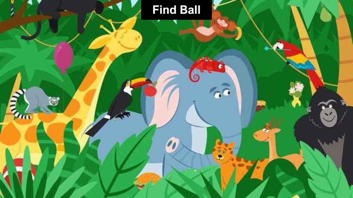 Find ball in the jungle