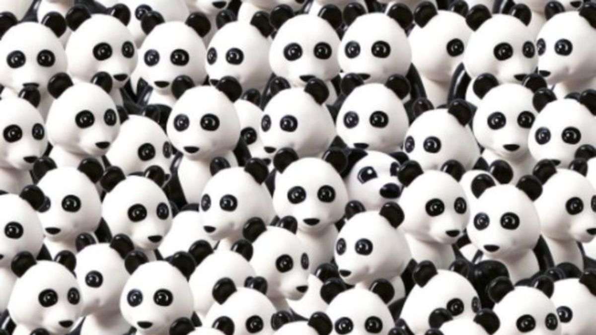 Optical Illusion: Spot The Dog Among Pandas.