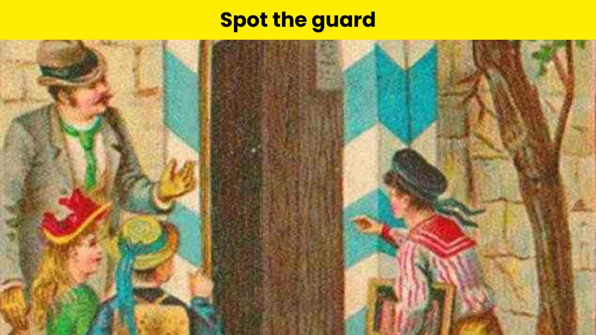 Can you spot the guard and solve this optical illusion?