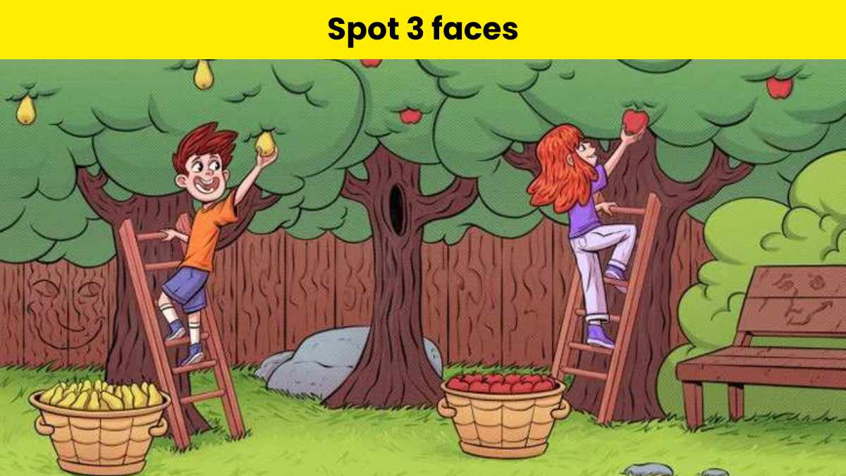 Can you spot the three faces hidden here?