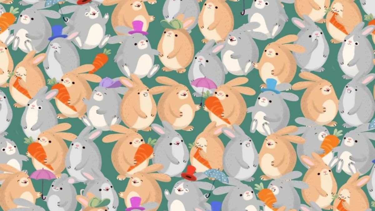 Can You Spot the Mouse Hidden Among Rabbits in Picture within 15 Secs?