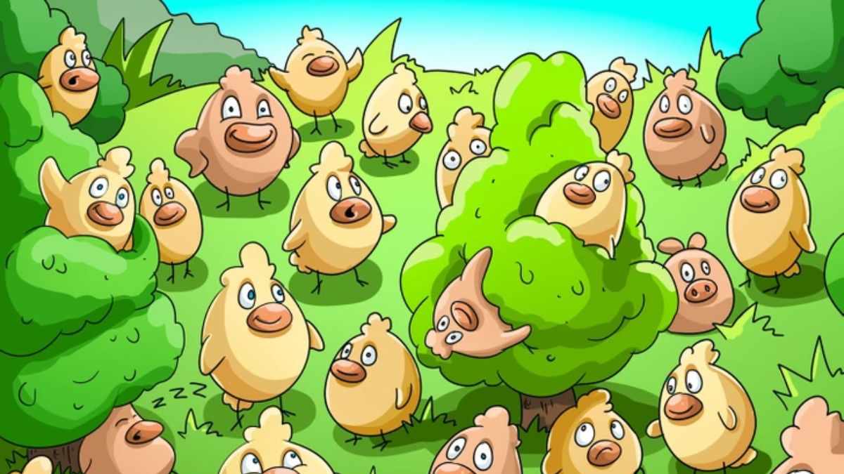 Only 1% Can Spot the Pig Hidden Among Chickens in the Picture within 7 secs!