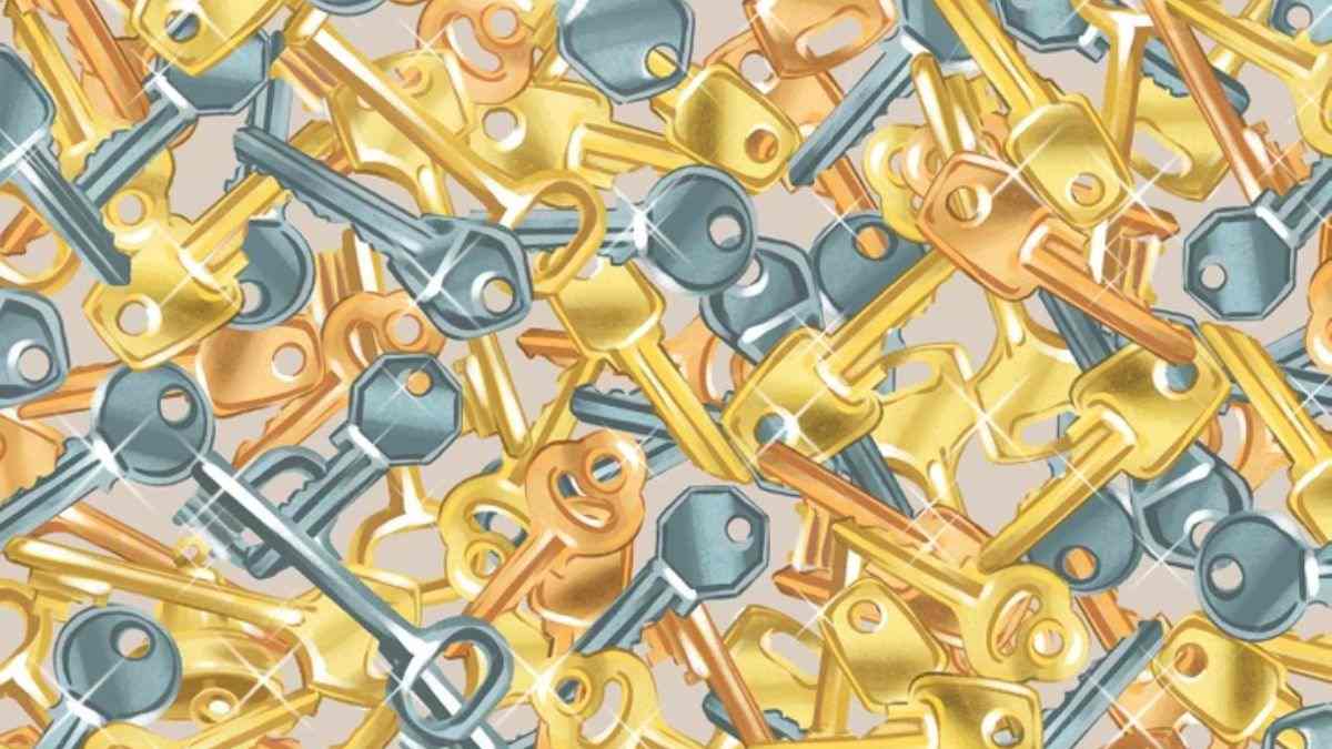 Only 3% Can Spot the Bell Hidden Among Keys in the Picture within 11 secs!