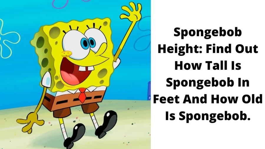 Spongebob Height, Check How Tall Is Spongebob In Feet And How Old Is Spongebob