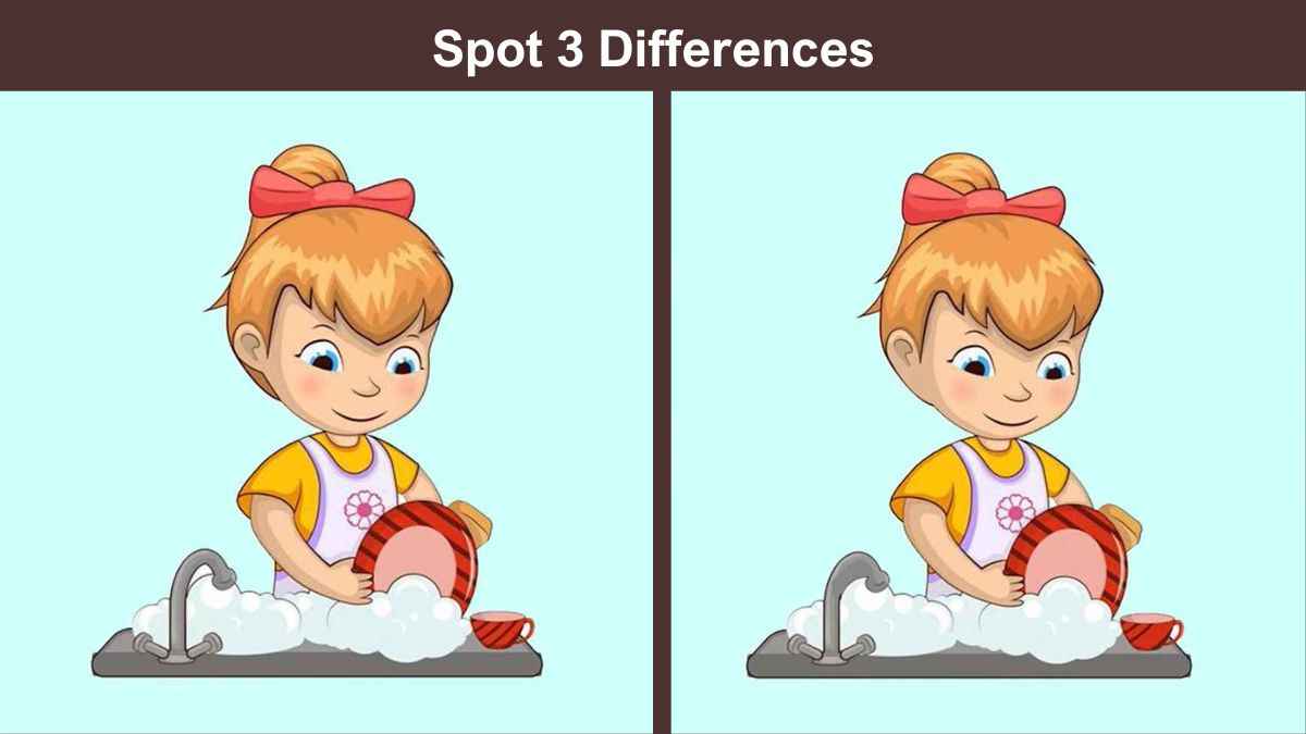 Spot 3 differences girl washing dishes