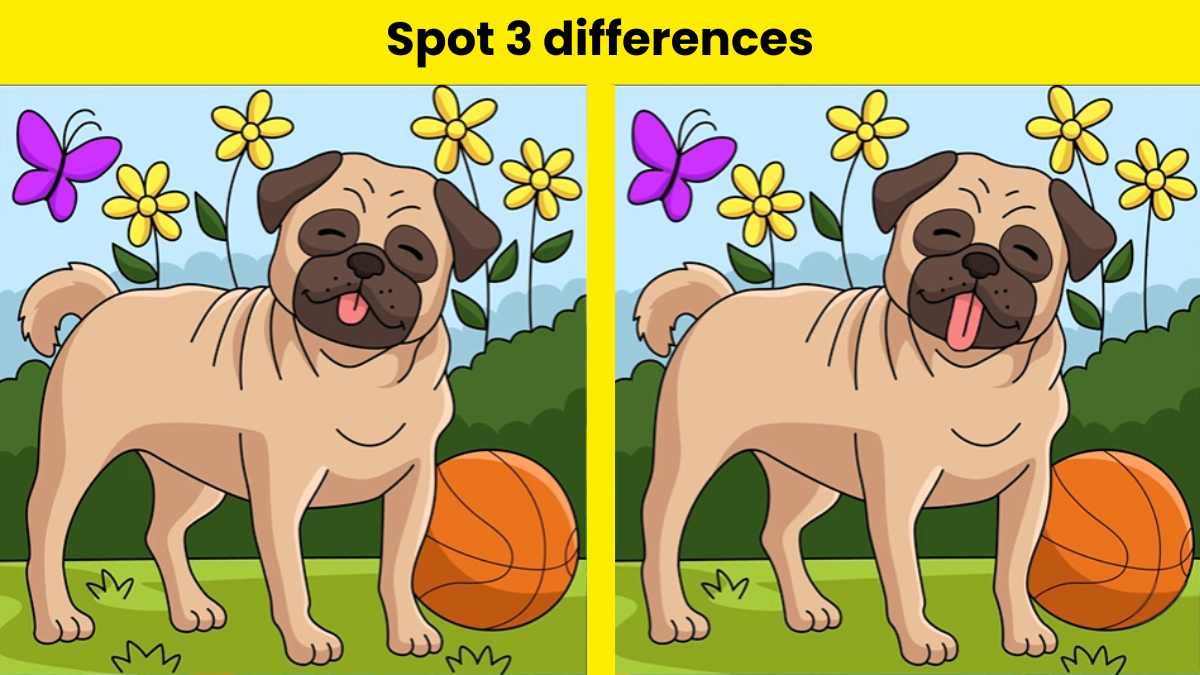 Try and spot the differences between the two images. Can you?