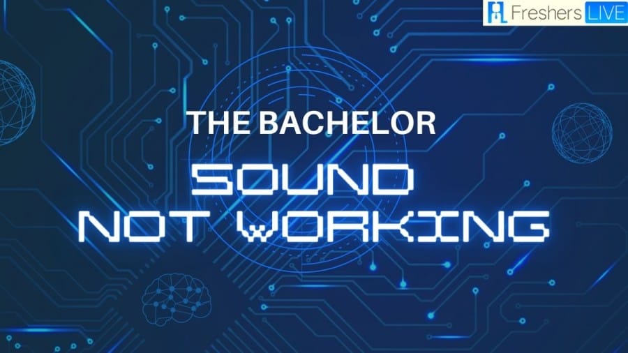 The Bachelor Sound Not Working, How to fix The Error?