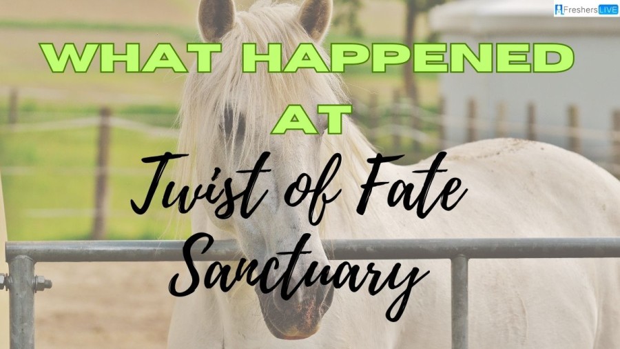 What Happened at Twist of Fate Sanctuary? Check Here