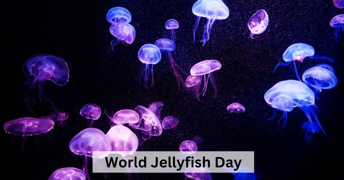 World Jellyfish Day 2023: Top 7 Facts You Need to Know About Jellyfish