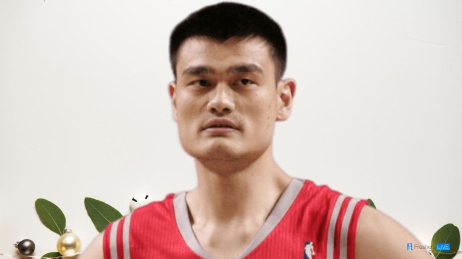 Yao Ming  Net Worth in 2023 How Rich is He Now?