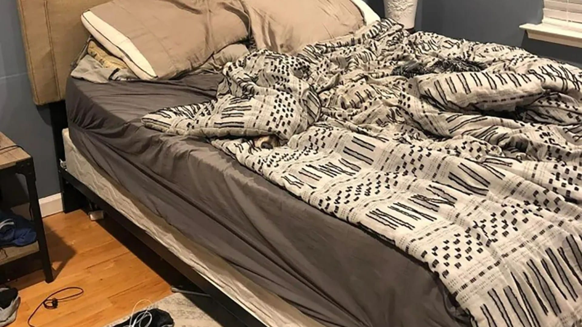 You could have 20/20 vision if you can spot the sneaky dog hiding somewhere in this messy bedroom in 15 seconds