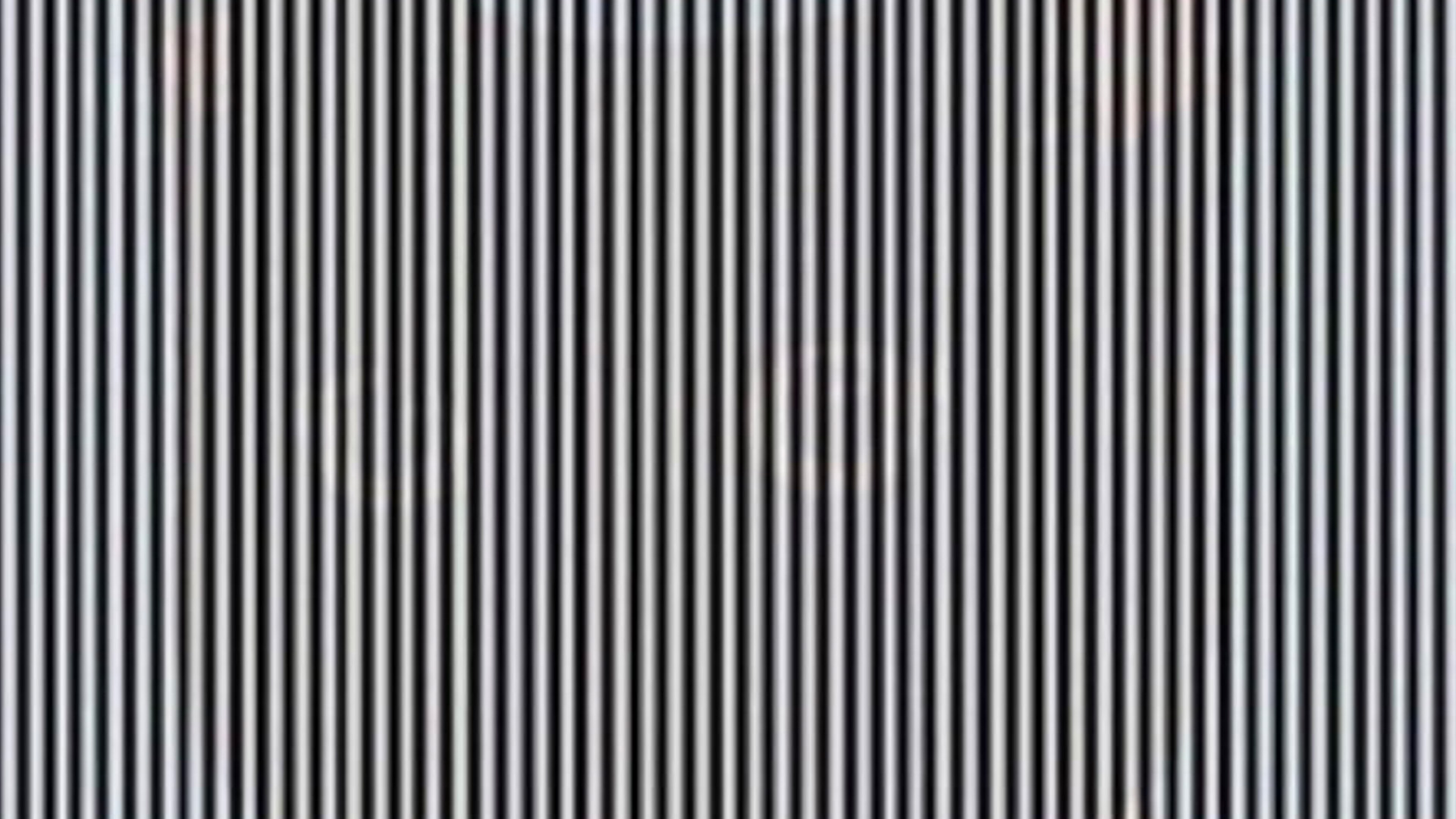 You have 20/20 vision if you can find the animal hidden among the lines in this optical illusion within 20 seconds