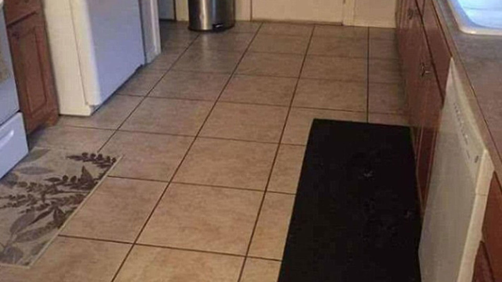 You have 20/20 vision if you can see the dog hiding in the kitchen in this mind-boggling picture in 10 seconds