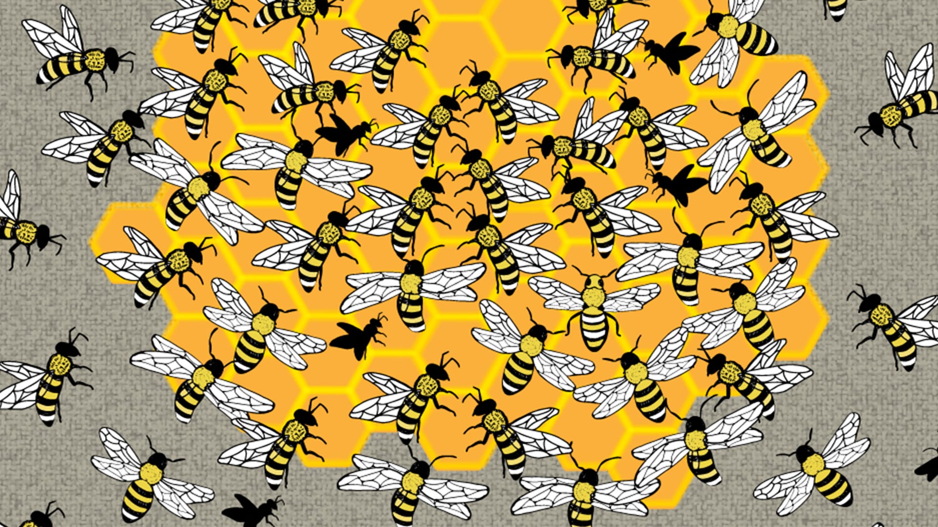 You have 20/20 vision if you can spot the Queen bee hiding in the hive in under five seconds