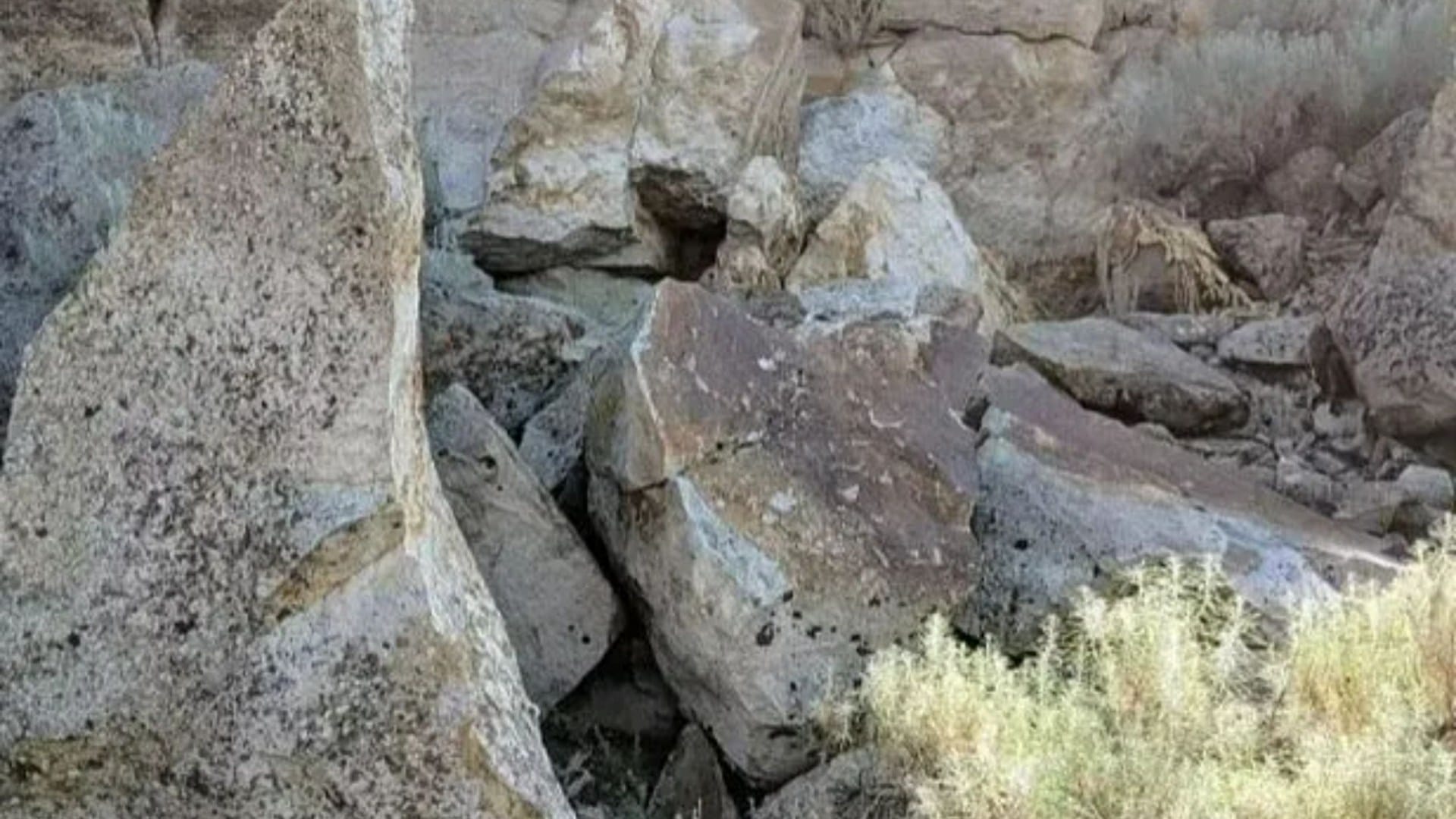 You have 20/20 vision if you can spot the rabbit hiding out on these rocks in less than 10 seconds