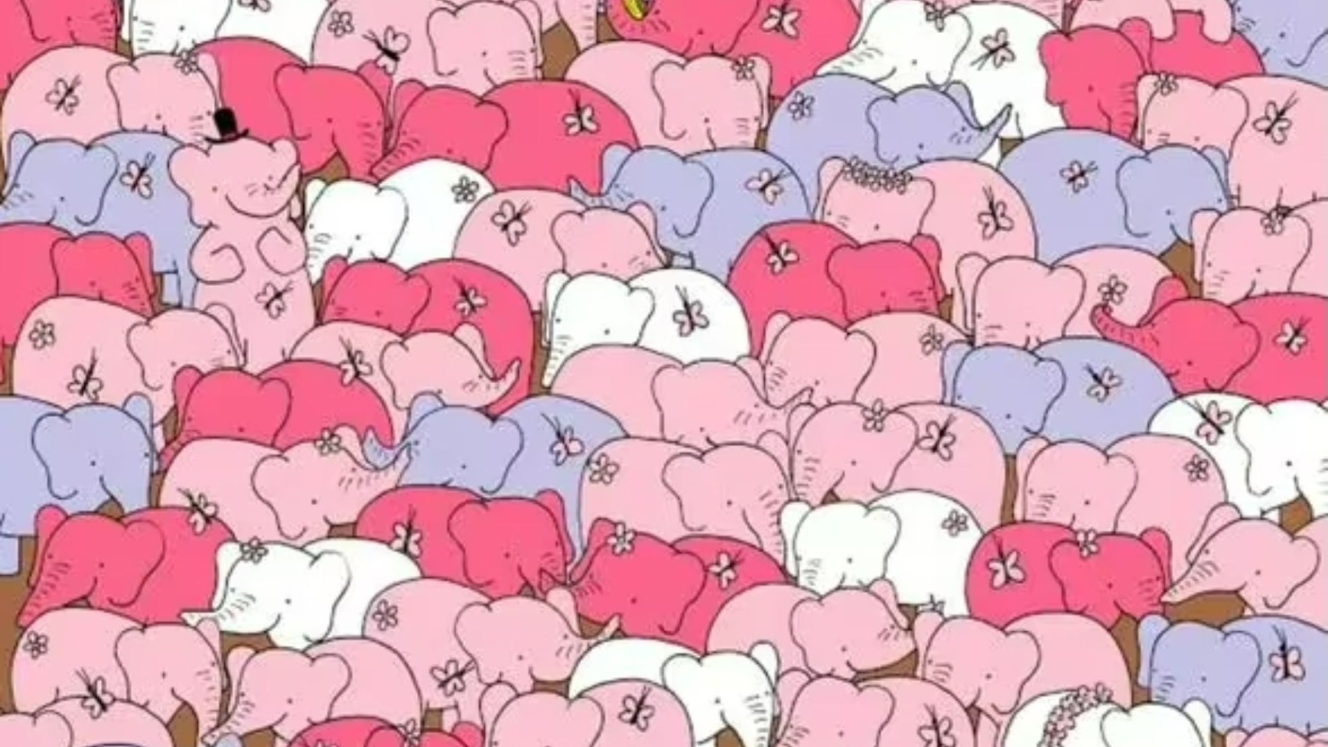 You have laser vision if you can spot the heart amongst these elephants in just 15 seconds