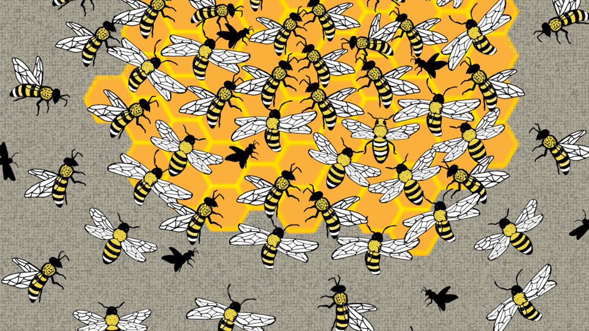 You're in the top 22% if you can spot the queen bee in less than 5 seconds